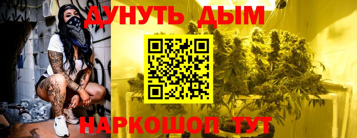 МАРИХУАНА конопля Долгопрудный